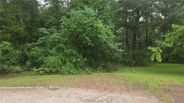 1017 Weeping Willow Drive, Plantersville, TX 77363