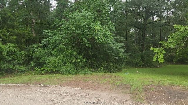 1017 Weeping Willow Drive, Plantersville, TX 77363