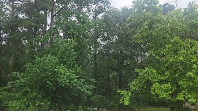 1017 Weeping Willow Drive, Plantersville, TX 77363