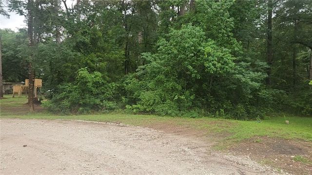 1017 Weeping Willow Drive, Plantersville, TX 77363