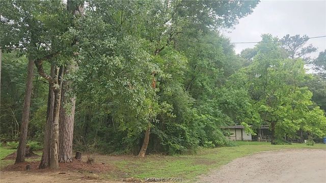 1017 Weeping Willow Drive, Plantersville, TX 77363