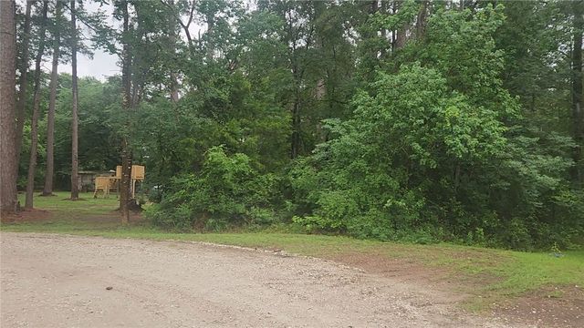 1017 Weeping Willow Drive, Plantersville, TX 77363
