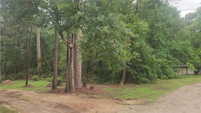 1017 Weeping Willow Drive, Plantersville, TX 77363