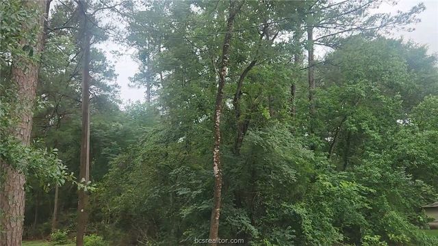 1017 Weeping Willow Drive, Plantersville, TX 77363