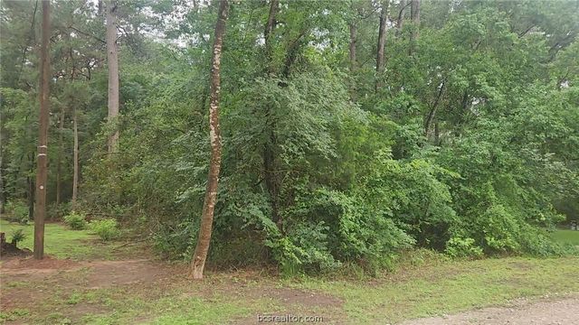 1017 Weeping Willow Drive, Plantersville, TX 77363