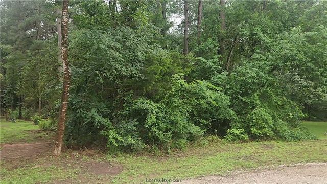1017 Weeping Willow Drive, Plantersville, TX 77363