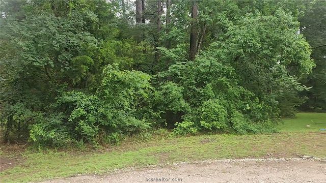 1017 Weeping Willow Drive, Plantersville, TX 77363