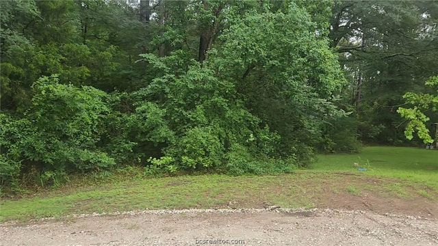1017 Weeping Willow Drive, Plantersville, TX 77363