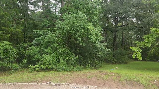 1017 Weeping Willow Drive, Plantersville, TX 77363