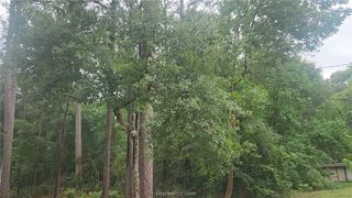1017 Weeping Willow Drive, Plantersville, TX 77363