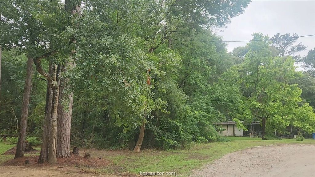 1017 Weeping Willow Drive, Plantersville, TX 77363 — photo 2