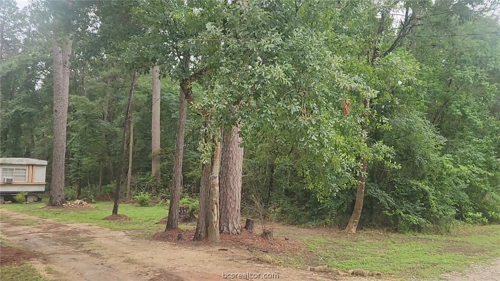 1017 Weeping Willow Drive, Plantersville, TX 77363 — photo 3