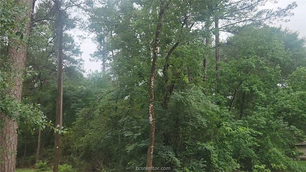 1017 Weeping Willow Drive, Plantersville, TX 77363 — photo 4