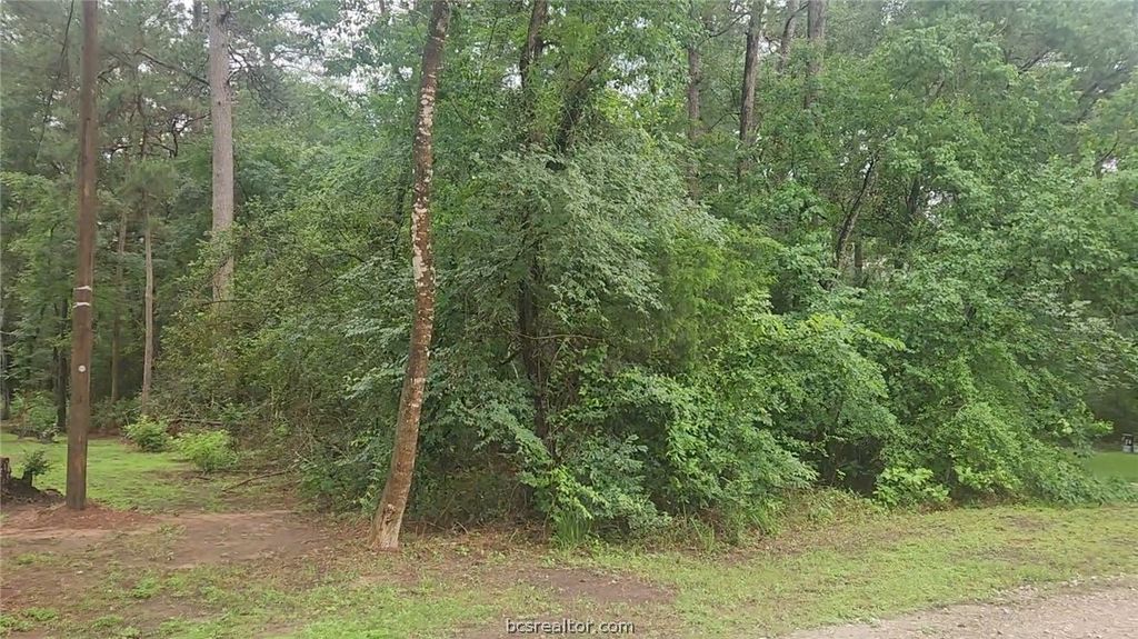 1017 Weeping Willow Drive, Plantersville, TX 77363 — photo 5