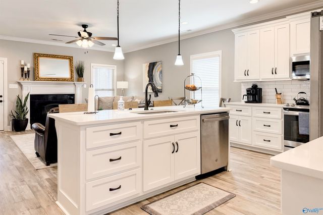 1008 Ashenbury Park, Decatur, AL 35603