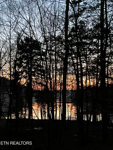 1466 Eagle Furnace Rd, Rockwood, TN 37854