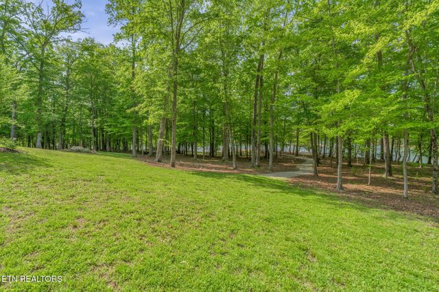 1466 Eagle Furnace Rd, Rockwood, TN 37854