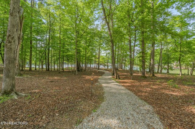 1466 Eagle Furnace Rd, Rockwood, TN 37854