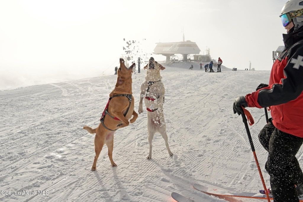 Crystal View L4 B5, Sandpoint, ID 83864 photo 38