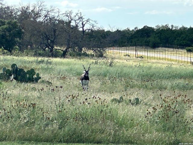 78 Firsching, Kerrville, TX 78028