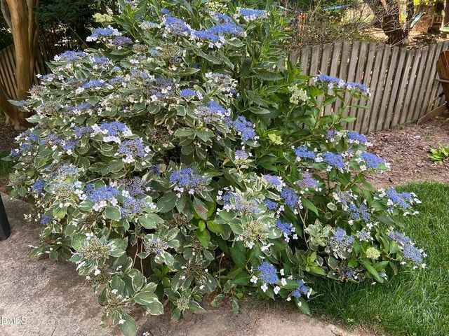 1100 Sudbury Court, Raleigh, NC 27609