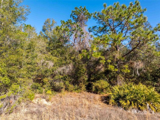 1737 E WESTGATE LANE, Hernando, FL 34442