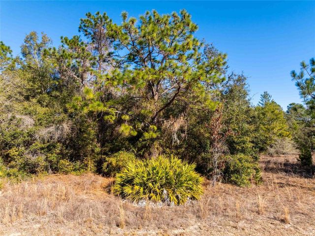 1737 E WESTGATE LANE, Hernando, FL 34442