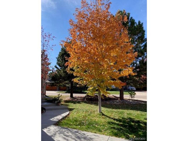 7808 Arundel Ln, Lone Tree, CO 80124