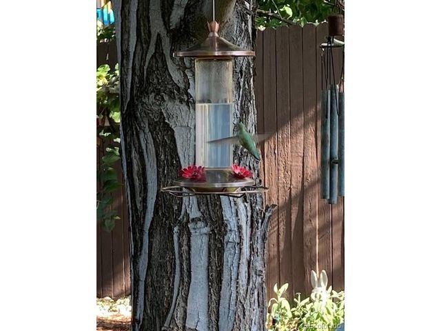 7808 Arundel Ln, Lone Tree, CO 80124