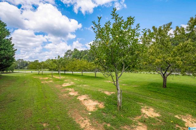 5743 COUNTY HIGHWAY 27, Springville, AL 35146