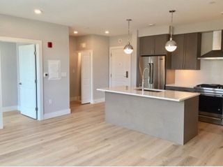 1650 Commonwealth Ave 309, Boston, MA 02135