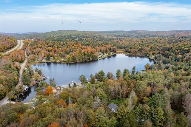 17 Billy Goat Hill Road, Sanford, NY 13865