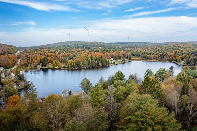 17 Billy Goat Hill Road, Sanford, NY 13865