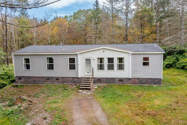 17 Billy Goat Hill Road, Sanford, NY 13865