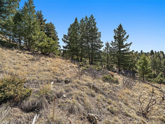 Lynx Lair Rd, Evergreen, CO 80439