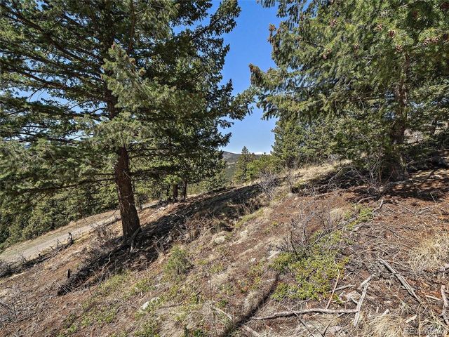 Lynx Lair Rd, Evergreen, CO 80439