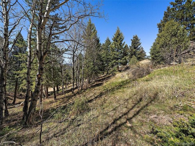 Lynx Lair Rd, Evergreen, CO 80439