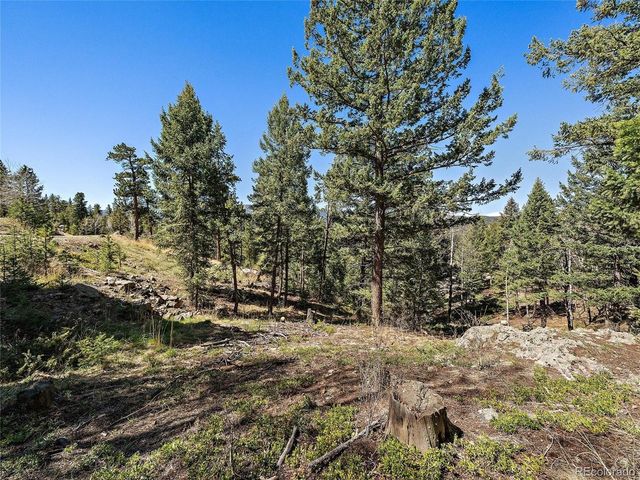 Lynx Lair Rd, Evergreen, CO 80439
