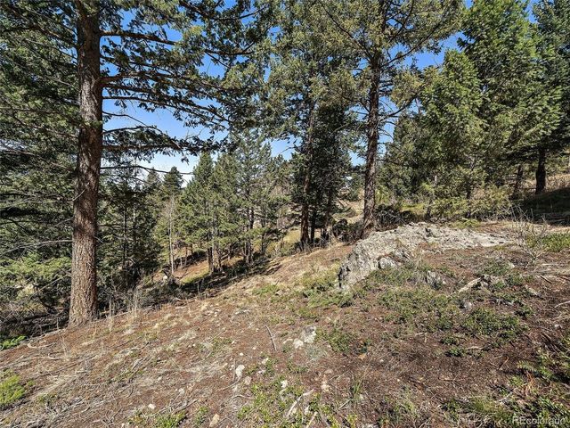 Lynx Lair Rd, Evergreen, CO 80439