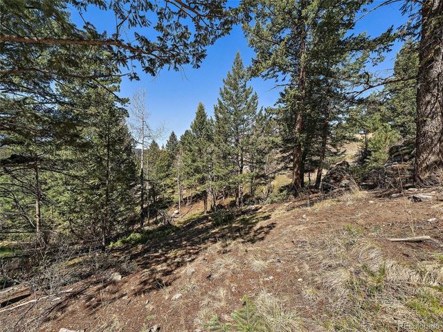 Lynx Lair Rd, Evergreen, CO 80439