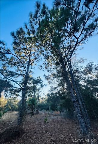 9632 N Cacalia Drive, Crystal River, FL 34428