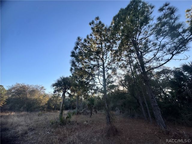 9632 N Cacalia Drive, Crystal River, FL 34428