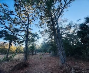 9632 N Cacalia Drive, Crystal River, FL 34428