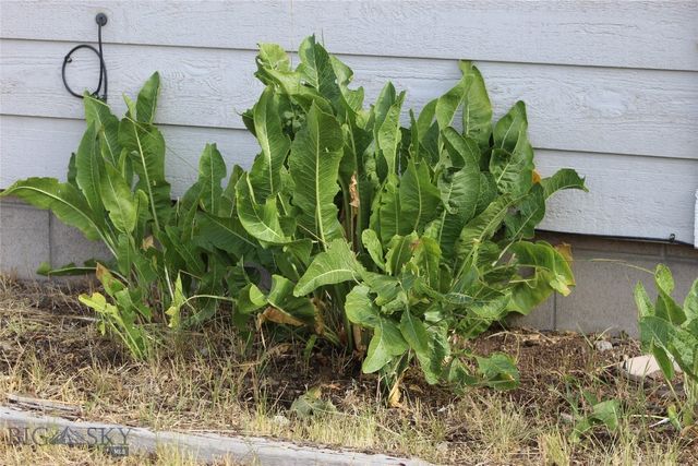 1385 Sunset, Butte, MT 59701