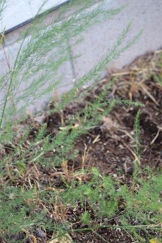 1385 Sunset, Butte, MT 59701