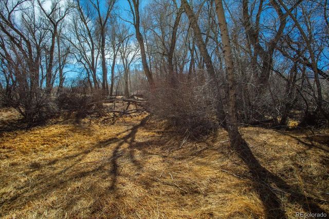 29571 County Road 350a, Buena Vista, CO 81211