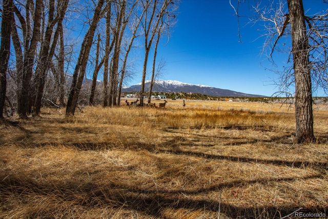 29571 County Road 350a, Buena Vista, CO 81211