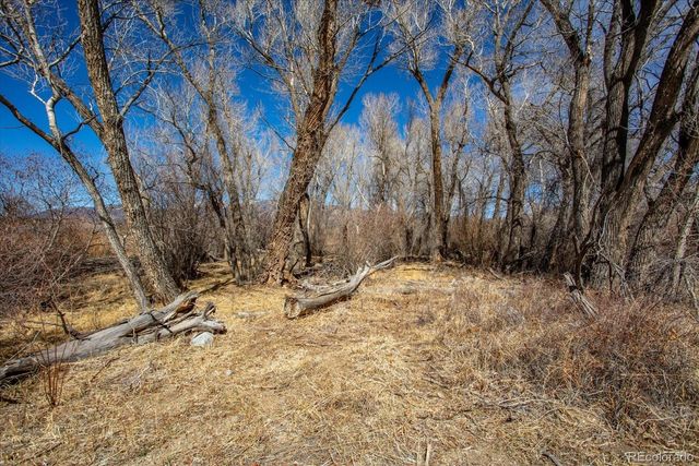 29571 County Road 350a, Buena Vista, CO 81211