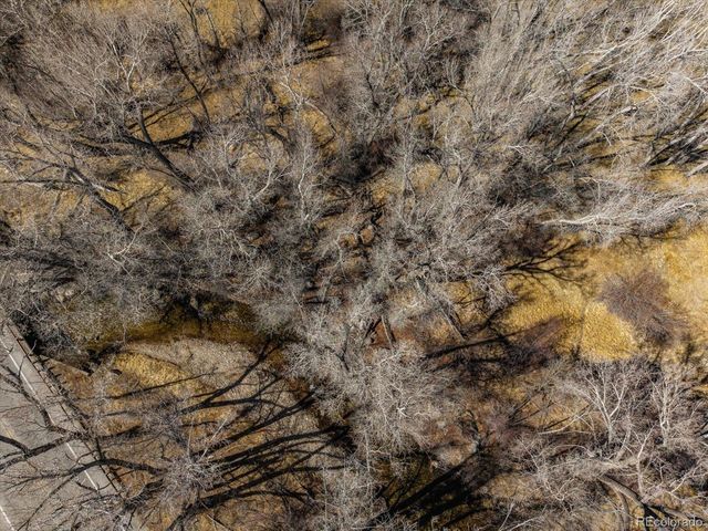 29571 County Road 350a, Buena Vista, CO 81211