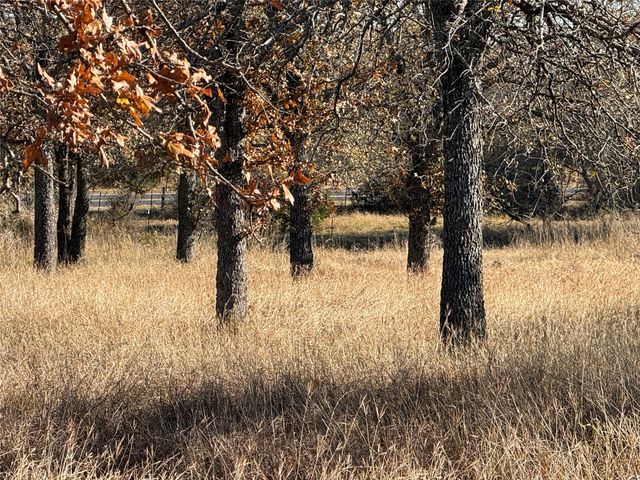 TBD Private Road 1403, Morgan, TX 76671